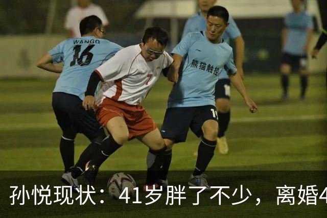 孙悦现状：41岁胖了不少，离婚4年还是单身，一双儿女越长越像他